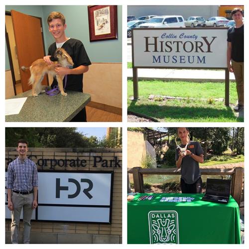 Interns at Animal Hospital, History Museum, HDR and Dallas Zoo 